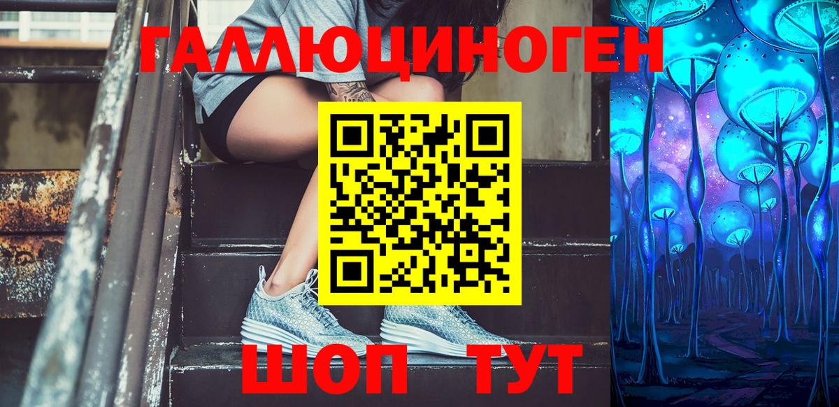 Галлюциногенные грибы Psilocybe Минеральные Воды