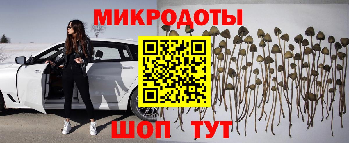 Галлюциногенные грибы мухоморы  магазин  наркотиков  Вход с VPN  Минеральные Воды  Псилоцибиновые грибы Psilocybine cubensis 